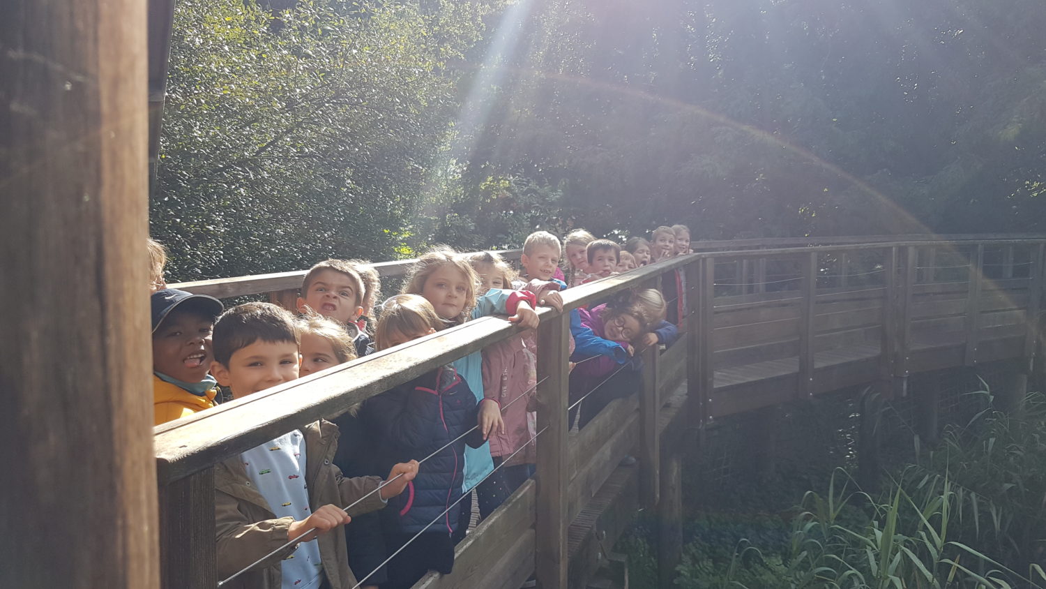 Sortie au zoo de Trégomeur.